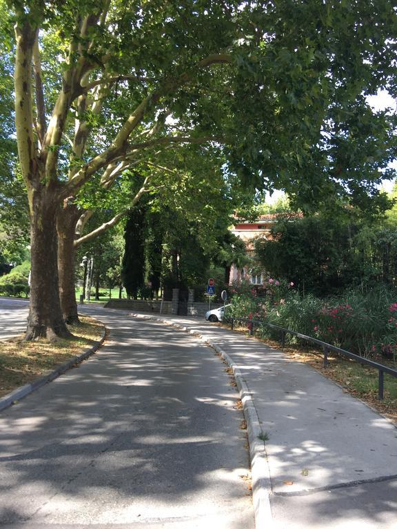 Center Portoroz